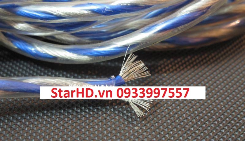 Monster ( Xanh - Trắng )